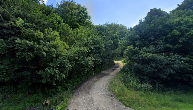 Cota de 1/2 din teren extravilan padure, com. Siriu, jud. Buzau 6241597