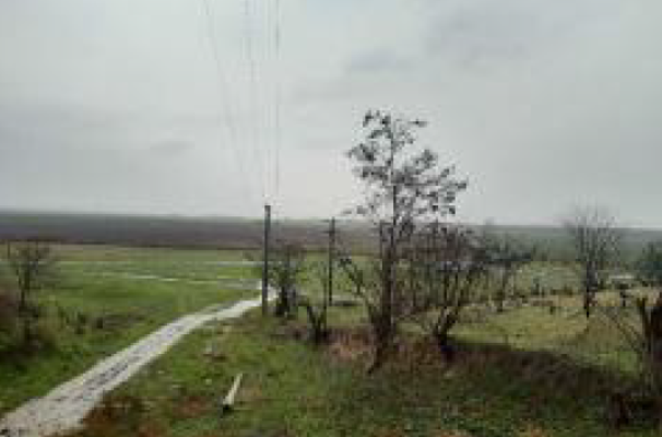 Teren extravilan com. Garliciu, jud. Constanta BTM3023489