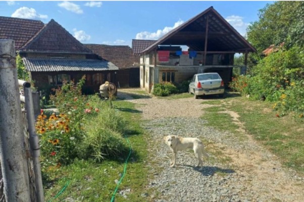 Casa P+anexa + constructie P+M in Vicea, jud. Maramures