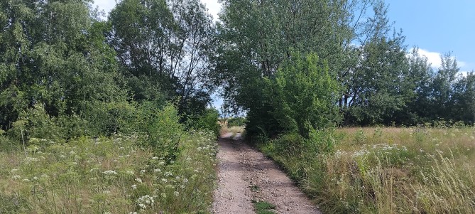 Teren intravilan 9535 mp (cota ¾ din ½), Bratca – Sat Damiș, Bihor