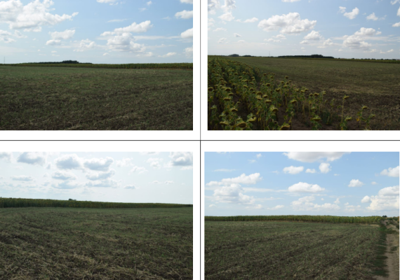 Teren extravilan agricol – Comloșu Mare, jud. Timiș - 18.162 mp (cota 3/40)