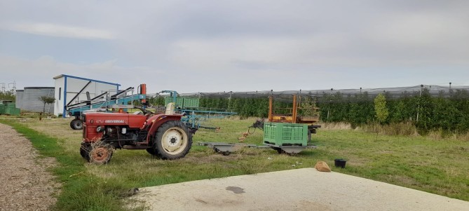 Livada pomi fructiferi hala si utilaje