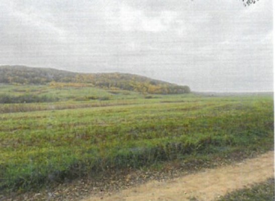 Cota 3/8 teren extravilan agricol, Com.Icusesti, Jud. Neamt