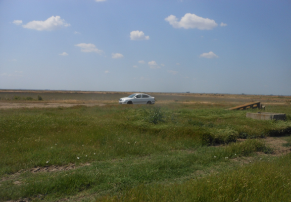 Cota de 1/2 din teren agricol extravilan com. Stancuta, jud. Braila
