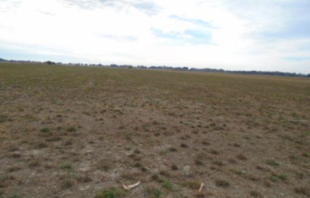 Cota de 1/4 din Teren agricol extravilan agricol, Com.Vanatori, jud. Vrancea