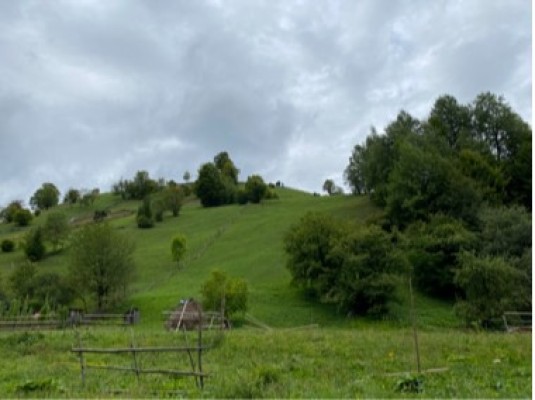 Teren agricol extravilan, Sat Farcasa, Com.Farcasa, Jud. Neamt