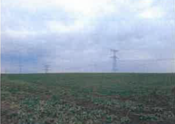 Cota de 3/8 din teren agricol extravilan com. Smeeni, jud. Buzau 5603661