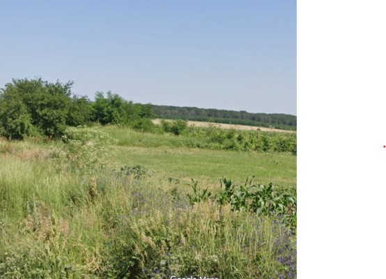 Teren extravilan agricol, Loc.Albesti Jud. Vaslui