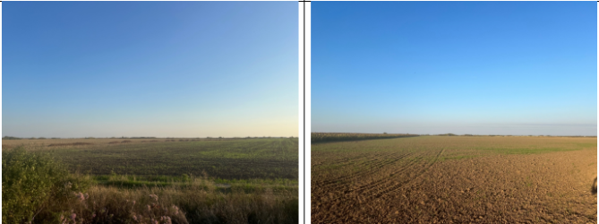 Cota 3/24 din Teren Extravilan in suprafata de 6.800 MP, Ciumeghiu, Judet Bihor