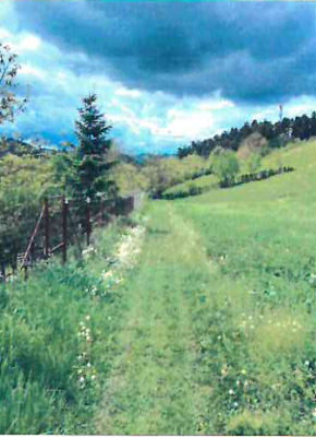 Teren intravilan arabil, Oraș Comănești, jud. Bacău 6312870