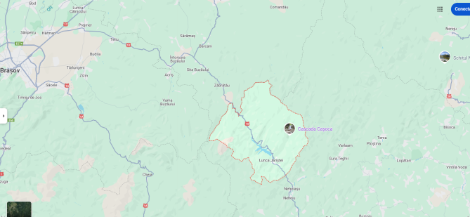 Cota de 1/2 din teren extravilan padure, com. Siriu, jud. Buzau 6241597