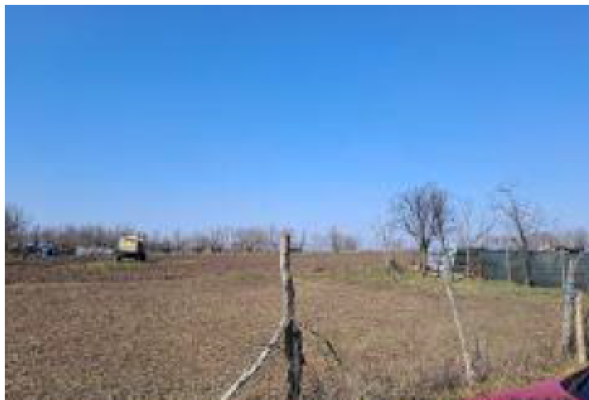 Teren intravilan com. Varlezi, jud. Galati 5943816