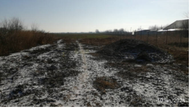 Teren agricol arabil, Str. Vidin, Comuna Rosiori, jud Ialomita