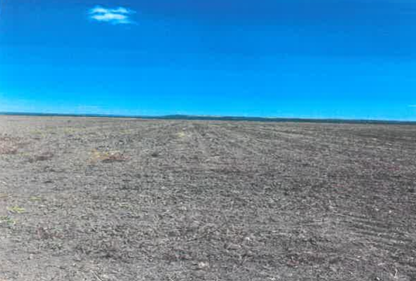 Teren extravilan agricol 5400 mp, Comuna Lunca Banului, Jud. Vaslui