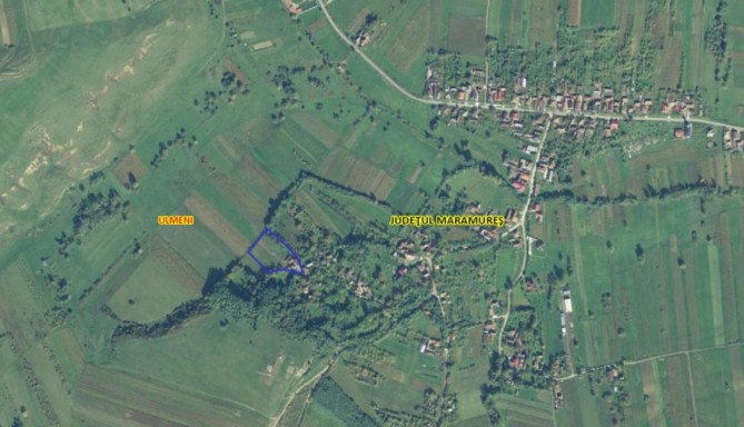 Casa P+anexa + constructie P+M in Vicea, jud. Maramures