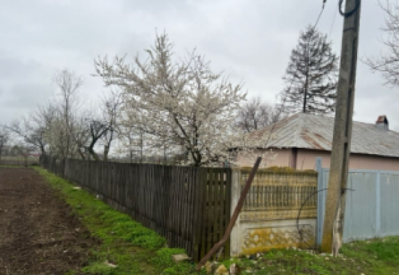 Cota de 3/8 din casa tip P si teren, strada Tapardel, Com. Frasinet judetul Teleorman