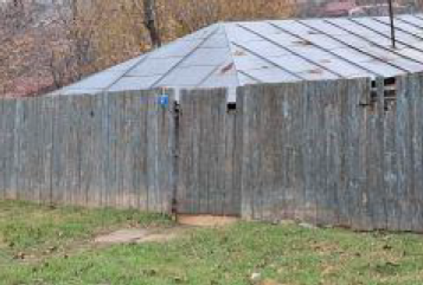 Cota de 1/8 din casa cu teren sat Negrea, com. Schela, jud. Galati 5922135