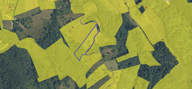 Teren intravilan 9535 mp (cota ¾ din ½), Bratca – Sat Damiș, Bihor