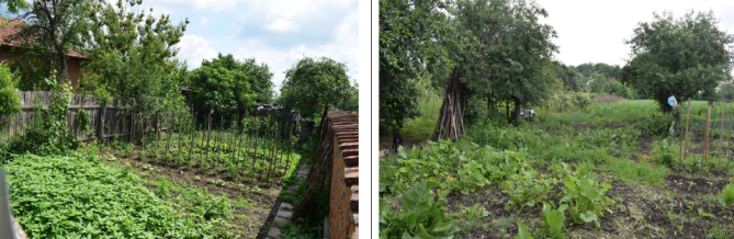 Teren intravilan curti constructii in suprafata de 1112 mp situat in oras Faget