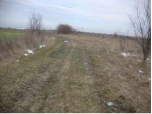 COTA 1/2 Teren agricol extravilan agricol Comuna Sirna, Sat Tariceni