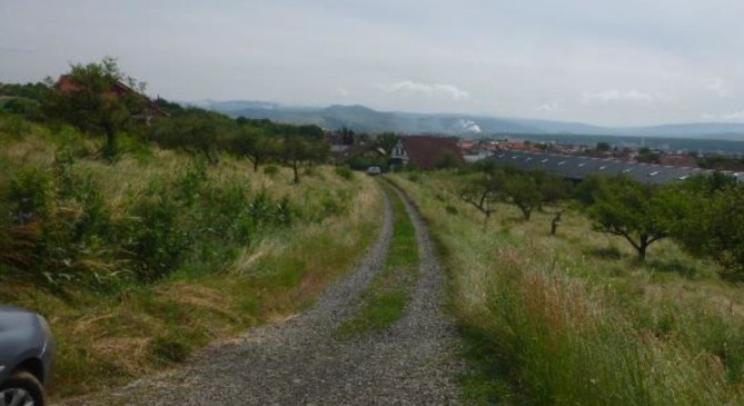 Cota de 1/2 din teren agricol 1119 mp in Reghin, str. Viilor, jud. MS