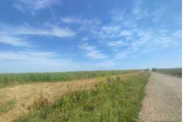 Cota 1/2 din teren extravilan agricol, Com.Stoiesti, Jud.Suceava