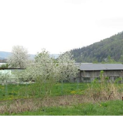 Teren intravilan agricol, Loc.Pangarati, Jud. Neamt