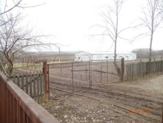 Teren agricol intravilan si extravilan loc. Cristesti, Jud.Botosani