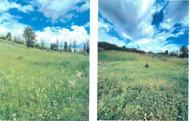 Teren intravilan arabil, Oraș Comănești, jud. Bacău 6312870
