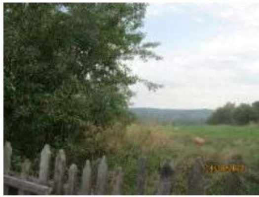 Teren agricol intravilan, Sat Bogata, Com. Baia, Jud. Suceava