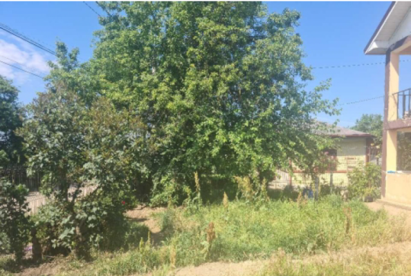 Casa si teren Loc. Letca Noua, sat Milcovățu, str. Scolii,  jud. Giurgiu