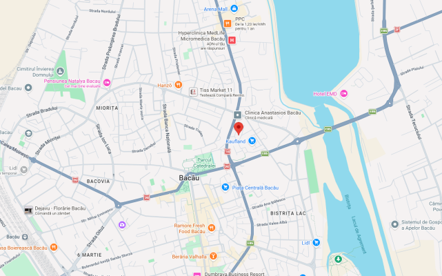 Spatiu comercial zona benzinaria MOL str. 9 Mai, Bacau, jud. Bacau
