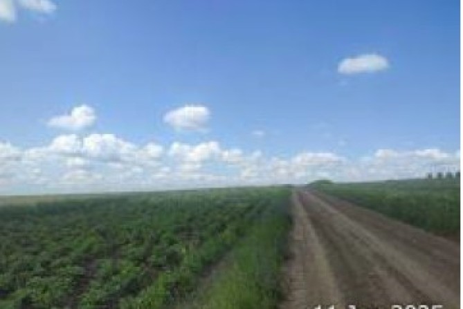 Cota 3/8 din teren extravilan agricol, Loc. Gramești, Jud. Suceava