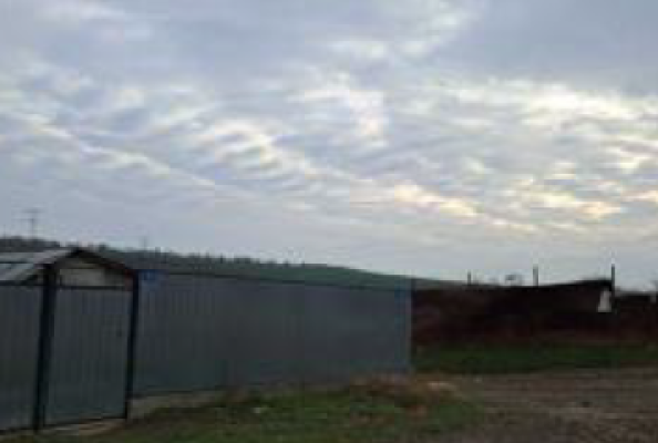 Cota de 1/8 din casa cu teren sat Negrea, com. Schela, jud. Galati 5922135