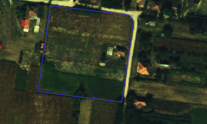 Casa de locuit in regim P cu teren intravilan in suprafata de 8400 mp situat in com Halmeu, sat Mesteacan
