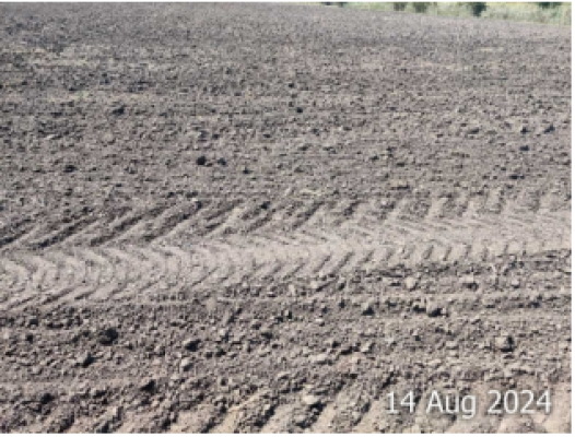 Cota 1/6 din teren extravilan, tarla 32/1, parcela 14, Manastirea, Jud. Calarasi