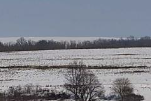 Cota de 1/15 din teren agricol extravilan, com. Baneasa, jud. Constanta 5888493