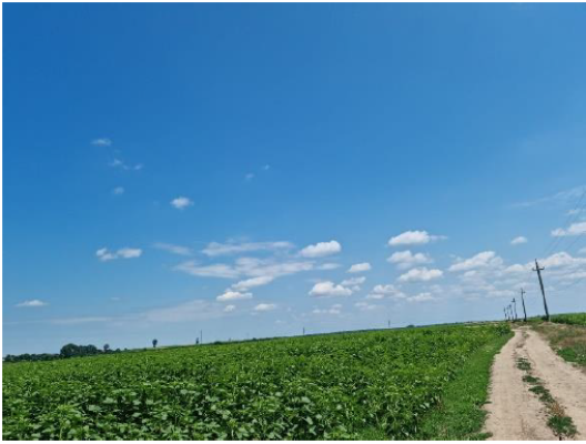 Teren agricol extravilan, localitatea Dobrosloveni