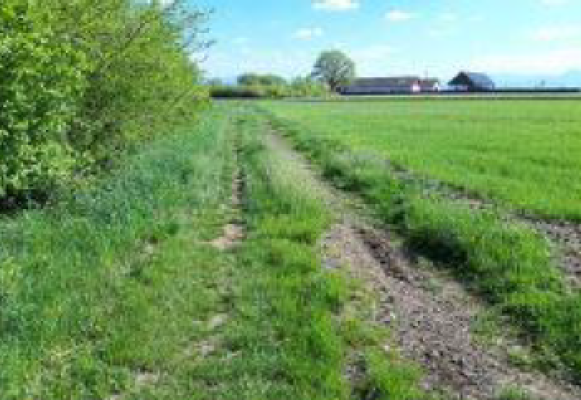 Cota de 6/16 din teren agricol extravilan sat Coseni, jud. Covasna 5903810
