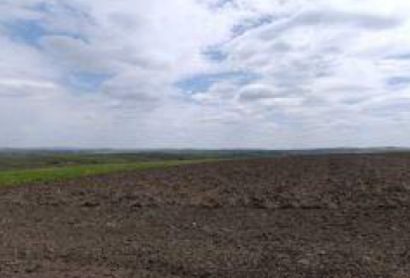 Cota 1/8 din teren arabil extravilan, Comuna Ciprian Porumbescu, județul Suceava