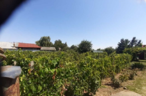Cota de 1/8 din casa cu teren sat Gagesti, com. Bolotesti, jud. Vrancea