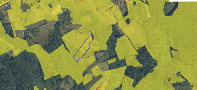 Teren intravilan 9535 mp (cota ¾ din ½), Bratca – Sat Damiș, Bihor