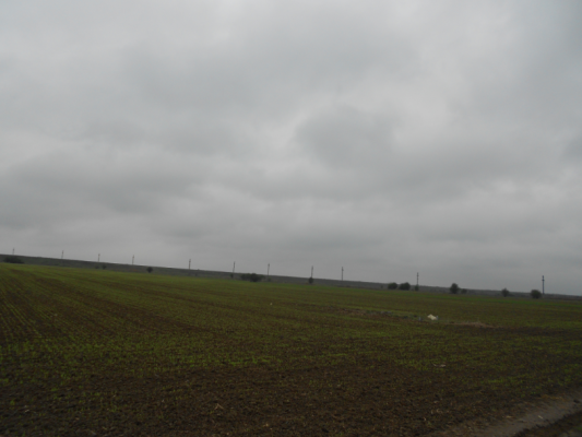 Teren intravilan - agricol Cornetu, Ilfov