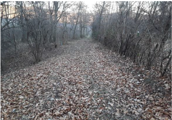Teren agricol intravilan 2.791 mp, Breaza, Cartier Gura Beliei, str. Lazului, nr. 28A