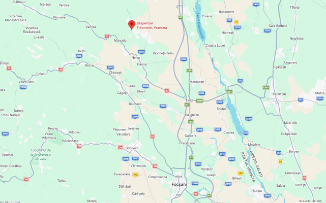 Teren extravilan (vie) - Comuna Fitionești, județul Vrancea 6743867