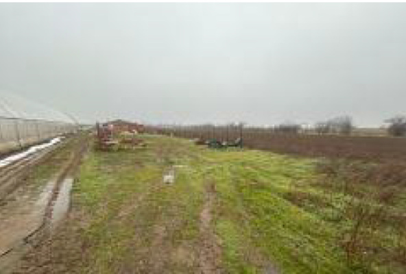 Teren intravilan 500 mp | Dobreni, Comuna Vărăști, județul Giurgiu