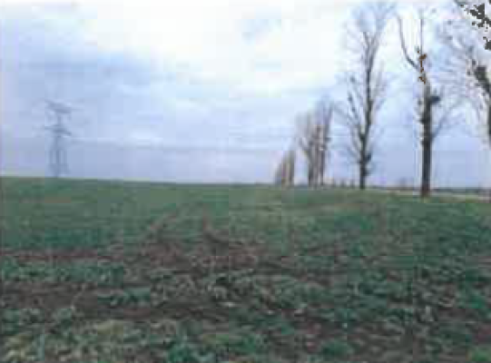 Cota de 3/8 din teren agricol extravilan com. Smeeni, jud. Buzau 5603661