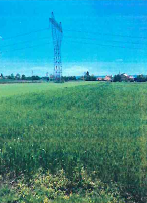 Cotă de 1/2 din teren extravilan arabil, com. Vadu Moldovei, județul Suceava 6387596