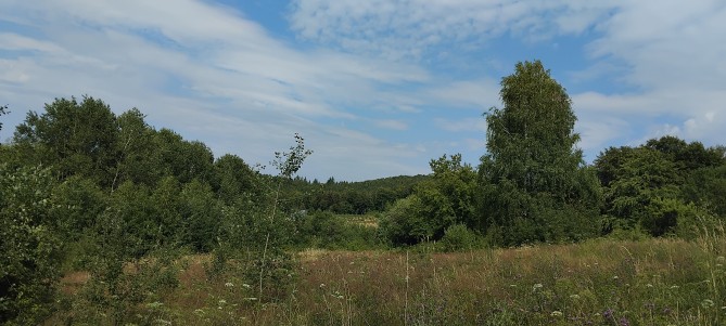 Teren intravilan 9535 mp (cota ¾ din ½), Bratca – Sat Damiș, Bihor
