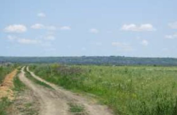 Cota 3/8 din teren extravilan agricol, Com.Costuleni, Jud.Iasi